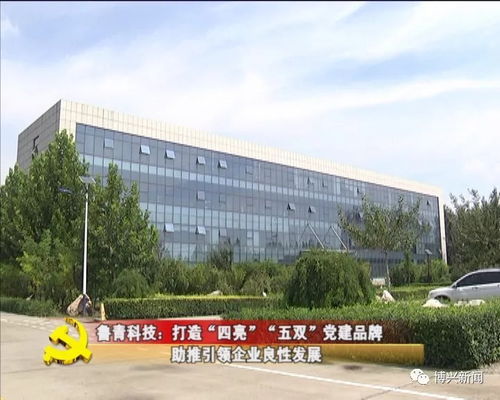 魯青科技 打造“四亮五雙”黨建品牌，以技術(shù)開發(fā)與咨詢助推企業(yè)引領(lǐng)良好循環(huán)